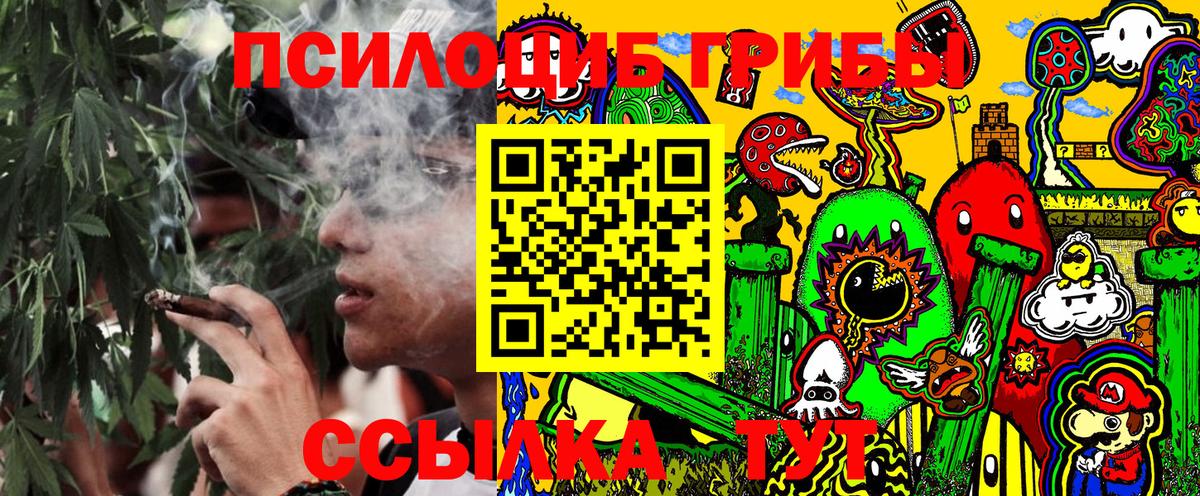 Ливны  Галлюциногенные грибы прущие грибы  Галлюциногенные грибы Psilocybe  Вход с VPN 