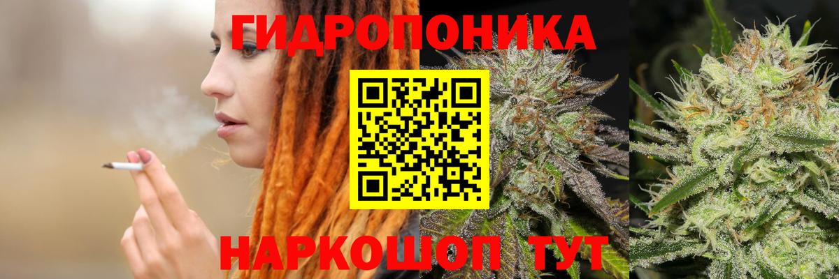 Шишки марихуана Ganja Ливны